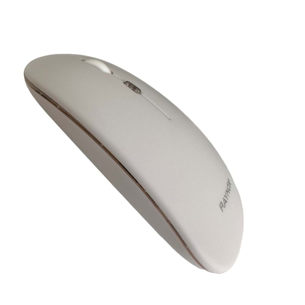 RX-M208 KABLOSUZ BLUETOOTH VE USB MOUSE