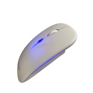 RX-M208 KABLOSUZ BLUETOOTH VE USB MOUSE